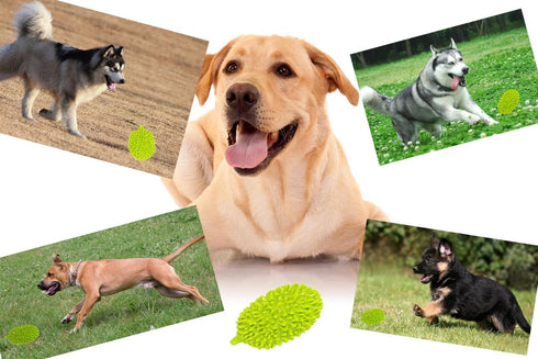 Dog Chew Toys for Aggressive Chewers, Indestructible Tough Durable Squeaky Interactive Dog Toys, Puppy Teeth Chew Toy for Small Meduium Large Bree...