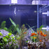 Senzeal Acrylic Shrimp Feeding Tube with Dish Aquarium Fish Tank Feeder for ShrimpTropical Fish (350mm/13.78'')...
