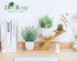 Der Rose 2 Pack Small Fake Plants Artificial Greenery Eucalyptus Plants in Pots for Bedroom Living Room Decor...