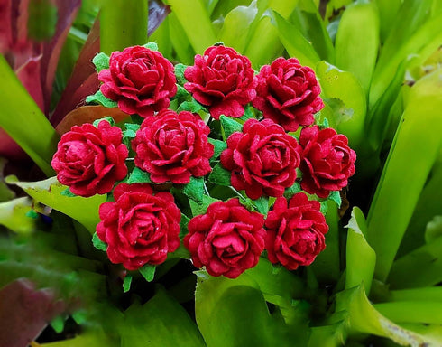 Beautiful Artificial Mulberry Paper Heart Petals Mini Roses Flowers Wedding Embellishment Scrapbooking Wedding Doll House Supplies Card DIY Crafts...