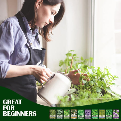 10 Kit Non-GMO Growing into Thyme, Lavender, Chamomile, Dill, Chives, Cilantro, Rosemary, Basil, Parsley, Sage Indoor/Outdoor for Kitchen Windowsi...