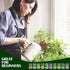 10 Kit Non-GMO Growing into Thyme, Lavender, Chamomile, Dill, Chives, Cilantro, Rosemary, Basil, Parsley, Sage Indoor/Outdoor for Kitchen Windowsi...