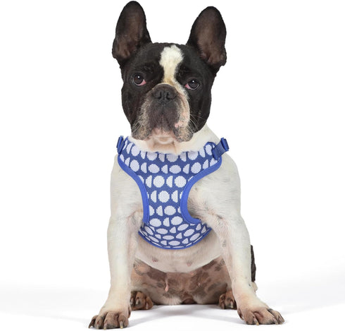 The Dodo Dog Harness, Blue Dodo Print, Size Medium; Easy Step-in Harness for Dogs; Breathable Mesh Fabric; Snap-Together, Pinch Release Buckle, Ri...