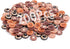 Sewing Buttons - Craft Buttons, 4 Hole of 200 Pcs Versatile Resin Buttons for Sewing, DIY Projects and Holiday Decoration (Light)...