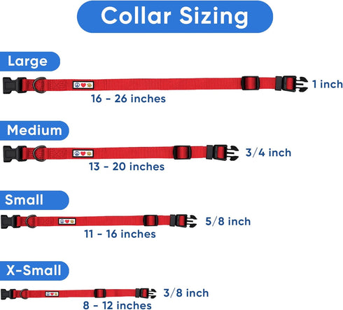 Pawtitas Reflective Dog Collar Adjustable Dog Collars for Small Dogs Puppy Collar Extra Small Dog Collar Teal Dog Collar...