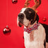 Elegant little tail Dog Collar, Christmas Dog Collar Red Penguins Holiday Pet Collar Dog Bow Collar Pet Durable Adjustable Girl Boy Dog Collar for...