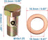 X AUTOHAUX 2 Set Banjo Bolt Brake Fitting Adapter Kit M10x1.25 Brake Line Thread Banjo Bolt with 10mm Washers...