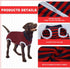 Recovery Suit for Dogs, Pet Recovery Suit After Surgery, Male Female Dog Neuter, Abdominal Surgical Suit, Striped Puppy Doggy Onesie Snugly Vest f...