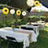 CHRORINE Sunflower Party Decorations, Sunflower Birthday Party Baby Shower Bridal Shower Wedding Decorations, Baby Shower Birthday Party Supplies...