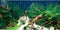 AWERT 24x16 inches Polyester Underwater Grass Plants Aquarium Background Aquatic Plants Stone River Bed and Dead Wood Stone Fish Tank Background...