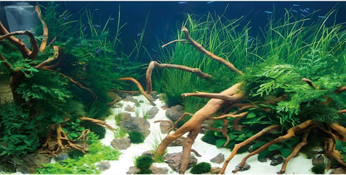 AWERT 48x18 inches Polyester Underwater Grass Plants Aquarium Background Aquatic Plants Stone River Bed and Dead Wood Stone Fish Tank Background...