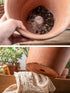 30PCS Plastic Cone Flower Pot Hole Mesh Pad 3 Sizes DIY Planter Bottom Cone Mat Mesh Hole Screens Bonsai Bottom Mat Prevent Soil Loss Leak-Proof P...