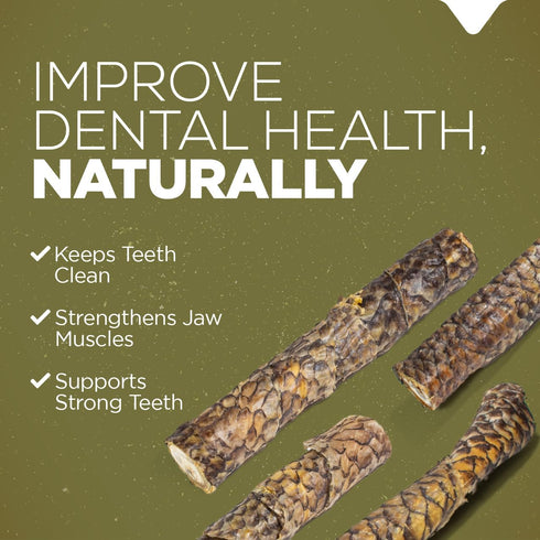 Natural Farm Power Fish Sticks Dog Chews (6”, 5-Pack), 2-in-1 Power Chews: Premium Beef Cheek Wrapped in Crunchy Tilapia Skin, Rich in Omega 3s, L...
