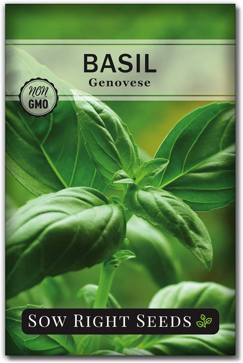 Sow Right Seeds - Genovese Sweet Basil Seed for Planting - Non-GMO Heirloom Packet with Instructions to Plant and Grow a Kitchen Herb Garden - Ind...