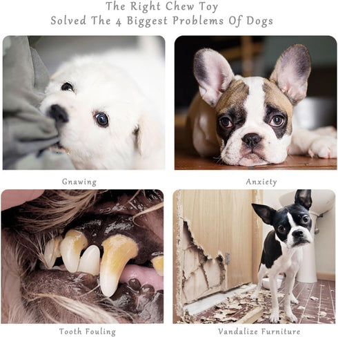 Dog Chew Toys for Aggressive Chewers, Indestructible Tough Durable Squeaky Interactive Dog Toys, Puppy Teeth Chew Toy for Small Meduium Large Bree...