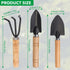 3Pcs Garden Tools, Mini Gardening Tools,Gardending Hand Tools Kit for Seedling for Succulent,Home Plants,Garden Potted Plants etc Indoor Plant Acc...