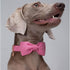 DOGWONG Hemp Cotton Dog Collar with Bow, Pink Pet Collar Durable Adjustable Girl Puppy Collar for Small Medium Large Dogs...