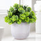 Artificial Lysimachia Plants in Ceramic Planter Cute Fake Succulent Flowers Potted for Home Office Table Desk Decor Living Room Bathroom Bedroom S...
