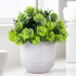 Artificial Lysimachia Plants in Ceramic Planter Cute Fake Succulent Flowers Potted for Home Office Table Desk Decor Living Room Bathroom Bedroom S...