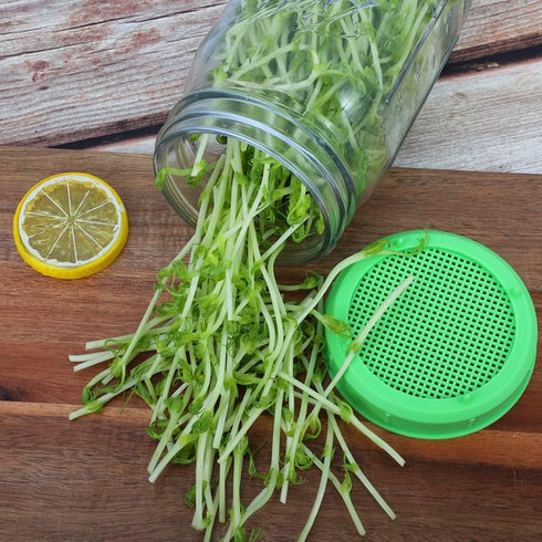 12 Pack Plastic Sprouting Lids for 86mm Wide Mouth Mason Jars, Sprouting Strainer Lid for Canning Jars, Suit for Grow Bean Sprouts, Alfalfa, Salad...