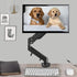 Suptek Monitor Mount Gas Spring Monitor Arm Desk Mount Monitor Stand Fully Adjustable Fits 17 20 22 23 24 26 27 inch Monitors Weight Capacity up t...