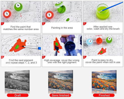 Rebotipy Flowers Paint by Numbers for Adults A Field of Poppies on The Coast Paint by Number on Canvas Without Frame,DIY Oil Painting for Gift Hom...