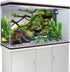 AWERT 36x18 inches Branches Aquarium Background Stone River Bed & Lake Fish Tank Background Green Algae Aquarium Background Vinyl Background...