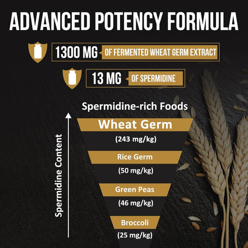 Spermidine Supplements 13mg - 1300mg Wheat Germ Extract Capsules Potent Formula with Higher Spermidine Content and Zinc for Healthy Aging, Daily I...