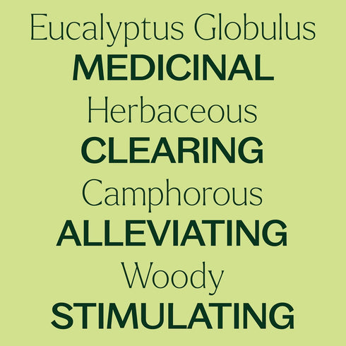 Plant Therapy Eucalyptus Pre-Diluted Roll-On 10mL (1/3 oz) for Skin and Clear Breathing, 100% Pure, Therapeutic Grade...