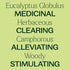 Plant Therapy Eucalyptus Pre-Diluted Roll-On 10mL (1/3 oz) for Skin and Clear Breathing, 100% Pure, Therapeutic Grade...