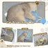 Cat Scratcher Mat, Natural Cotton Rope Round Horizontal Scratching Pads with Ball Toy, Cat Furniture Protector Scratch Pad for Indoor Cat Scratche...