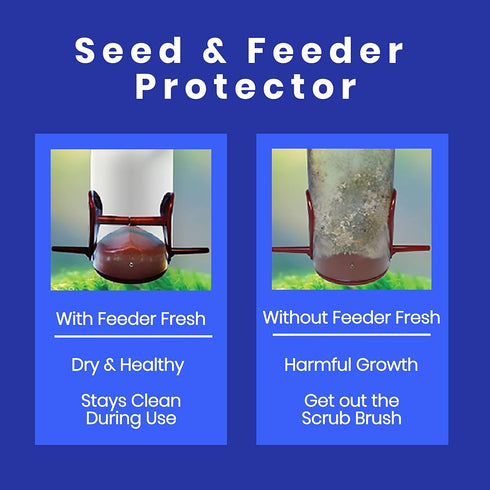 Feeder Fresh Bird Feeder and Seed Protector | Keeps Bird Seed for Outside Feeders Clean, Dry and Fresh Preventing Bird Feeder Seed from Caking | W...