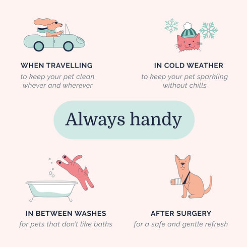 Hepper Waterless No Rinse Dry Shampoo for Dogs, Cats, and Other Pets. Dry Shampoo Foam in Only One Pump. No Rinse, No Bath, No Fuss —Just Brush. D...