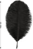 Larryhot Black Ostrich Feathers Bulk - 16-18 inch 10pcs Feathers for Vase,Wedding Party Centerpieces and Home Decorations (Black)...