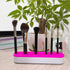 TANG SONG 1 PCS Silicone Make up Brush Holder Cosmetic Storage Box Desktop Organizers (Pink)...