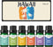 Fragrance Oil, ESSLUX Hawaii Scented Oils Set, Essential Candle Scents for Candle Making, Soap Making, Diffuser Oil Fresh Scents, Ocean Breeze, Be...