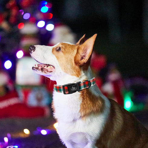 Elegant little tail Christmas Dog Collar, Red Pet Collar Dog Durable Plaid Dog Collars Girl or Boy Holiday Pet Gift Adjustable Dog Collar for Medi...