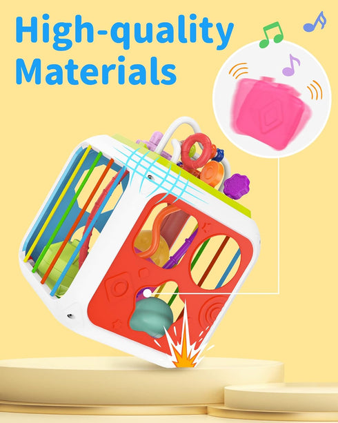 Montessori Toys for 1 Year Old Girls Boys, Baby Sorter Toys Learning Activity Cube, 1 Year Old Girl Boy Birthday Gifts, Baby Toys 6-12-18 Months, ...