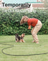 15ft Long Dog Leash | Neoprene Padded Handle | Lockable Heavy Duty Clip | Handle Removable for Temporary Tie Out | Dog Training,Hiking,Camping,Pla...
