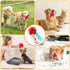 Dog Snuffle Ball-Interactive Puzzle Dog Toys Encourage Natural Foraging Skills Slow Feeder for Training and Stress Relief, Cloth Strip Hiding Food...