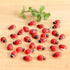 20-Piece Set: Seven-Spot Ladybug Décor - Wooden Handcrafted Simulation Beetle Garden with Realistic Ladybug Insect Miniature Sample Model - Yard, ...