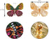 Alilang Golden Tone Shine Multicolor Rhinestone Monarch Butterfly Bug Brooch Pin...