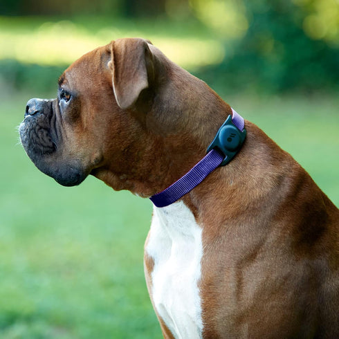 Case-Mate Airtag Dog Collar Holder - Water Resistant Airtag Holder Dog Tag - Lightweight, Protective Airtag Case for Dog Collar - Pet Collar Airta...