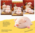Cute Kawaii Pig Plush Pillows Stuffed Animal Hugging Pillow, Soft Pig Stuffed Cuddle Plush Toys, Birthday Gifts for Girls Girlfriend… (Squint, 15....