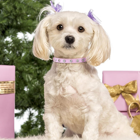 Small Dog Collars Rhinestones Pet Dog Collars Bling Diamond Puppy Collars Glitter Jewel Puppy Collar for Small Dog Pet, XS...