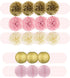EpiqueOne 22-Piece Tissue Paper Pom Poms Party Set - Pink, Gold & Ivory | Includes 12 Pom Poms, 6 Paper Lanterns, 3 Honeycomb Balls & 1 6.5 ft. Ga...