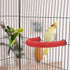 Bird Perches Parrot Cage Perch Rough Surface Perch Stand for Parakeets Budgies Cockatiels Conures Lovebirds (Small (Red)...