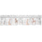Bedtime Originals Deer Park Window Valance, Multicolor (285029)...