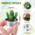 12 Pieces Cactus Tealight Candles Handmade Delicate Succulent Cactus Candles for Party Wedding Spa Home Decoration Gifts...