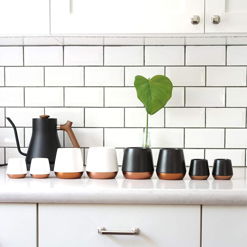 Fellow Joey Double Wall Ceramic Coffee Mug - Refined and Sophisticated, Matte White, Single 8 oz Cup...